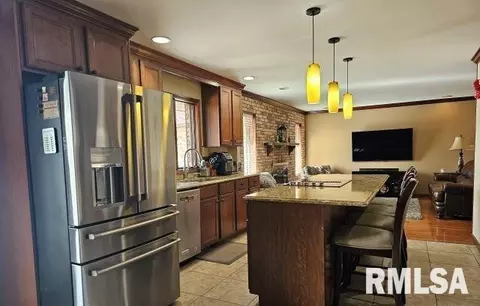 85 Country Acres Ln, Eldorado, IL 62930 photo 9