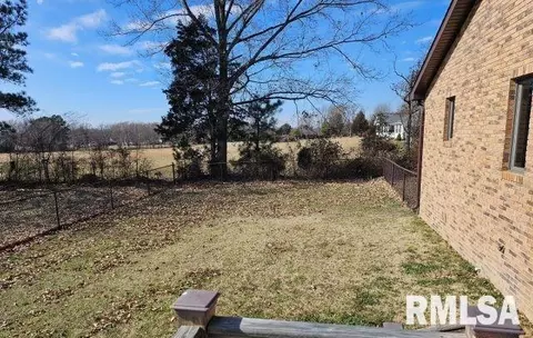 85 Country Acres Ln, Eldorado, IL 62930 photo 31