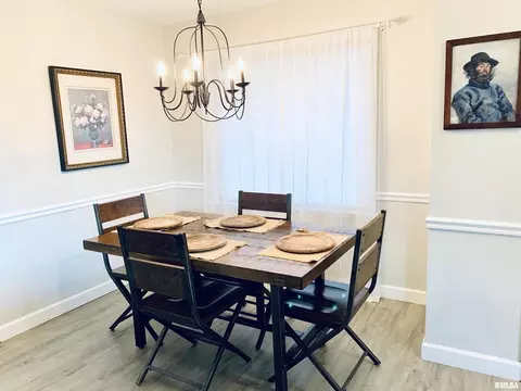 1229 8th Ave, Fulton, IL 61252 photo 9