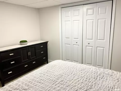 1229 8th Ave, Fulton, IL 61252 photo 15