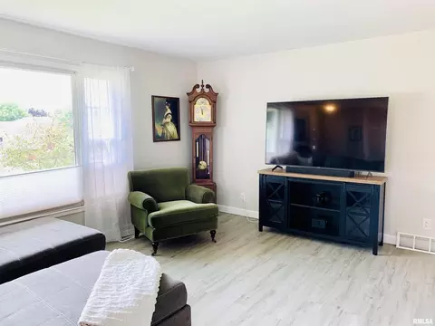 1229 8th Ave, Fulton, IL 61252 photo 6
