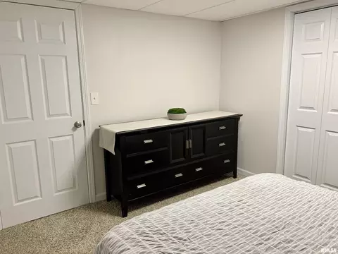 1229 8th Ave, Fulton, IL 61252 photo 14