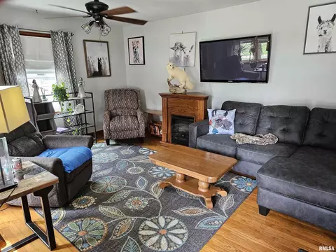 204 E Williams St, Atkinson, IL 61235 photo 9