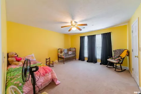 807 Aurora Ln, Marion, IL 62959 photo 19
