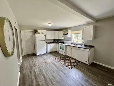 1004 13th St, Viola, IL 61486 photo 9