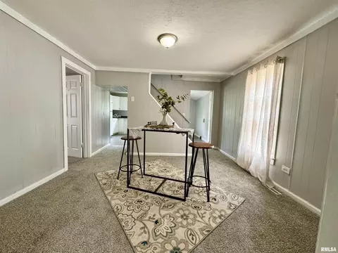 1004 13th St, Viola, IL 61486 photo 7