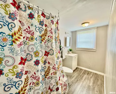 1004 13th St, Viola, IL 61486 photo 15