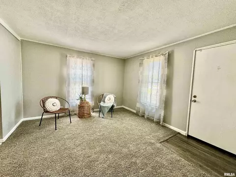 1004 13th St, Viola, IL 61486 photo 5