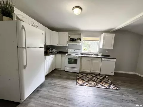 1004 13th St, Viola, IL 61486 photo 13