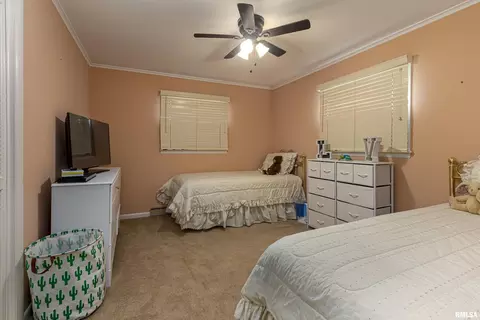303 E Bond St, Benton, IL 62812 photo 21