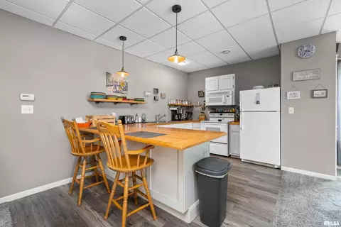 625 1st Ave, Hampton, IL 61256 photo 10