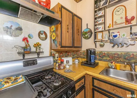 102 7th St, Keithsburg, IL 61442 photo 8