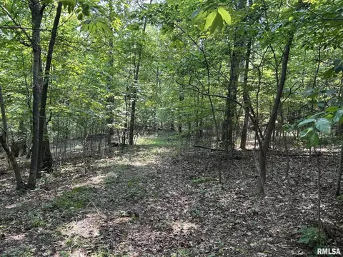 tbd Williams Ridge Ln, Cobden, IL 62920