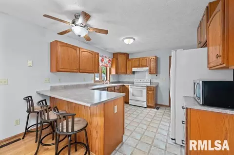 424 SE 7th Ave, Galva, IL 61434 photo 6