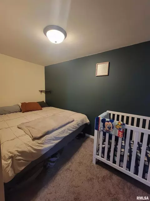 720 19th Ave, Fulton, IL 61252 photo 7