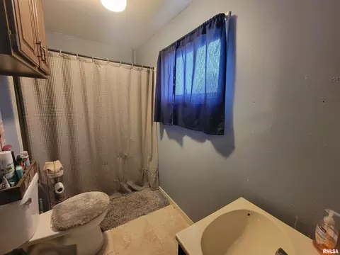 720 19th Ave, Fulton, IL 61252 photo 6