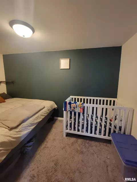 720 19th Ave, Fulton, IL 61252 photo 8