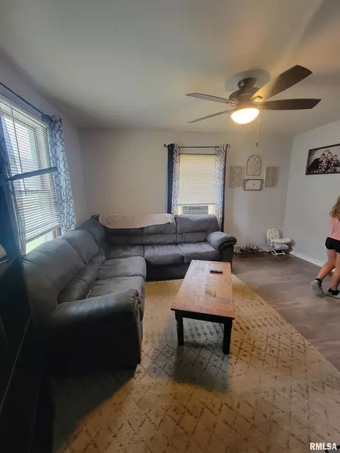 720 19th Ave, Fulton, IL 61252 photo 5
