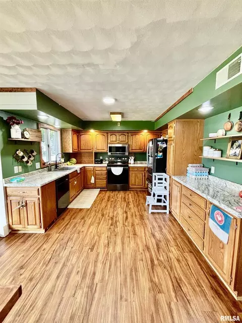 103 Marlane Dr, Alpha, IL 61413 photo 9