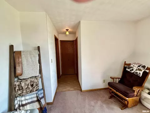 103 Marlane Dr, Alpha, IL 61413 photo 15