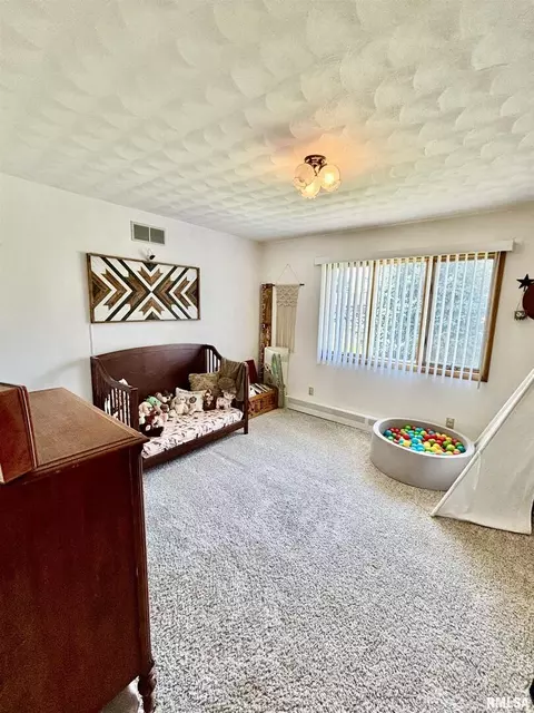 103 Marlane Dr, Alpha, IL 61413 photo 19
