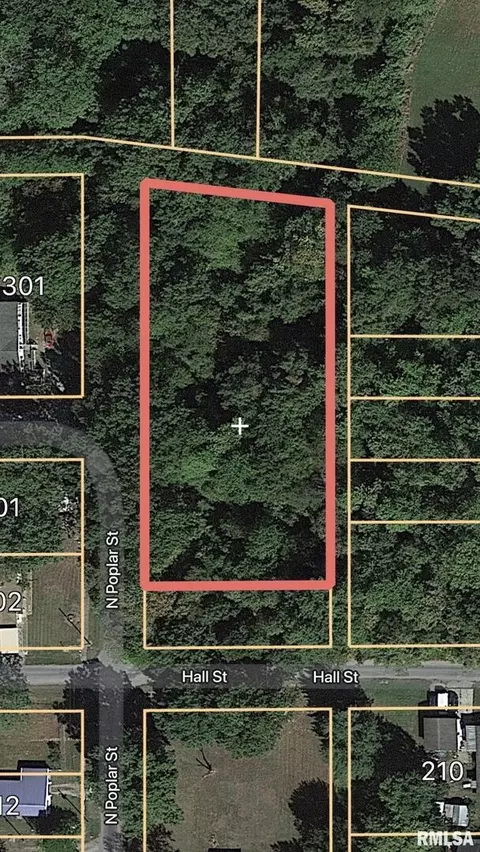000 Hall St, Cambria, IL 62915