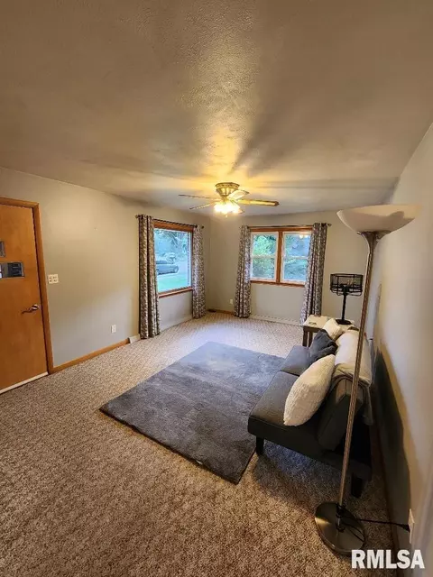 925 10th Ave, Fulton, IL 61252 photo 10