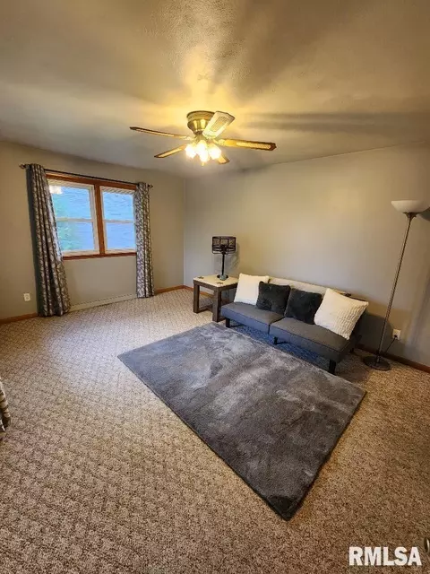 925 10th Ave, Fulton, IL 61252 photo 12