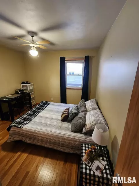 925 10th Ave, Fulton, IL 61252 photo 22