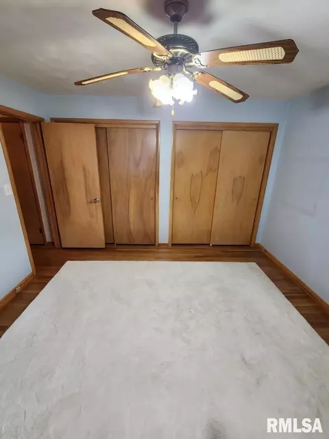 925 10th Ave, Fulton, IL 61252 photo 21
