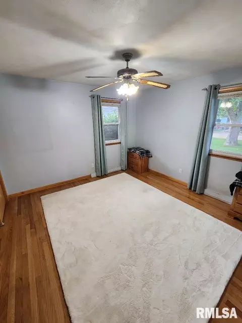 925 10th Ave, Fulton, IL 61252 photo 20