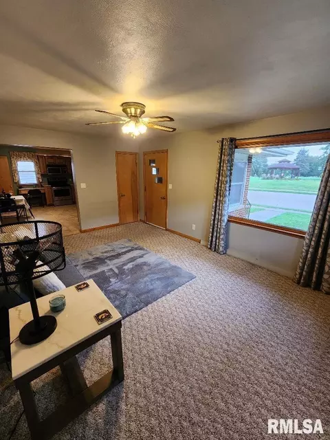 925 10th Ave, Fulton, IL 61252 photo 13