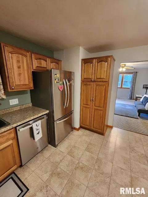 925 10th Ave, Fulton, IL 61252 photo 9