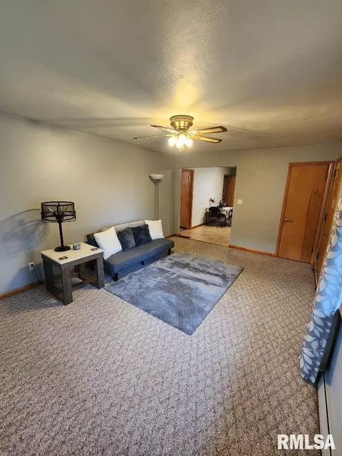 925 10th Ave, Fulton, IL 61252 photo 11