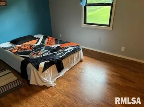 816 NE 3rd Ave, Galva, IL 61434 photo 13