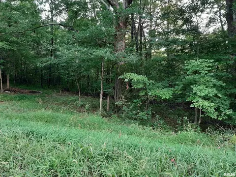0000 Reevesville Rd, Grantsburg, IL 62943