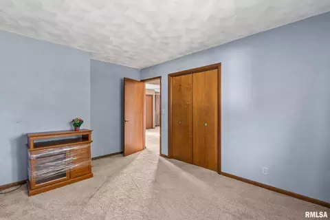 29517 Seyller Rd, Prophetstown, IL 61277 photo 19