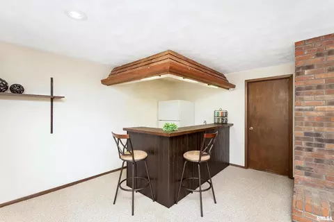 507 E Locust St, Geneseo, IL 61254 photo 29