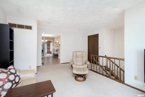 507 E Locust St, Geneseo, IL 61254 photo 5