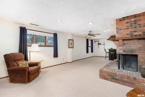 507 E Locust St, Geneseo, IL 61254 photo 26