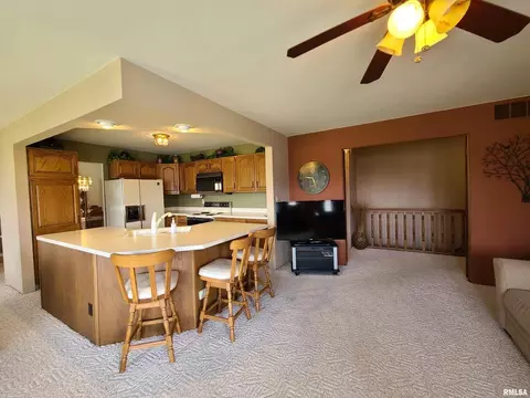 1200 8th Ave, Fulton, IL 61252 photo 13