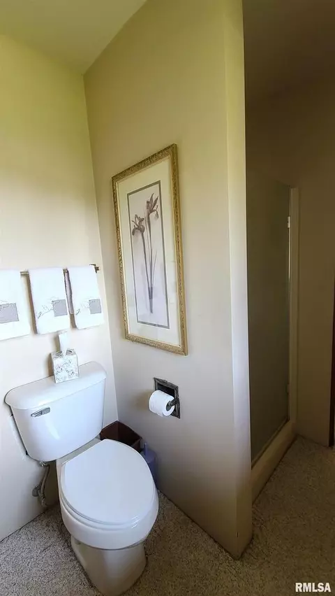 1200 8th Ave, Fulton, IL 61252 photo 20