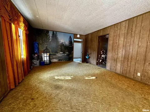 820 Dewey St, Eldorado, IL 62930 photo 5