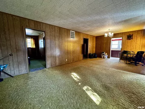 820 Dewey St, Eldorado, IL 62930 photo 19