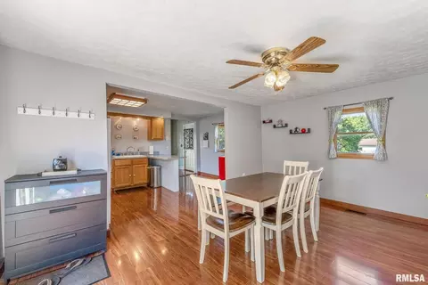 308 SW 3rd Ave, Aledo, IL 61231 photo 8