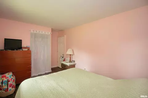 822 E 3rd Ave, Milan, IL 61264 photo 21