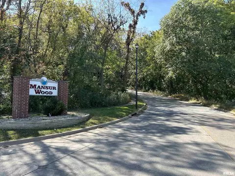 Outlot C Foret Mansur Lane, Carbon Cliff, IL 61239