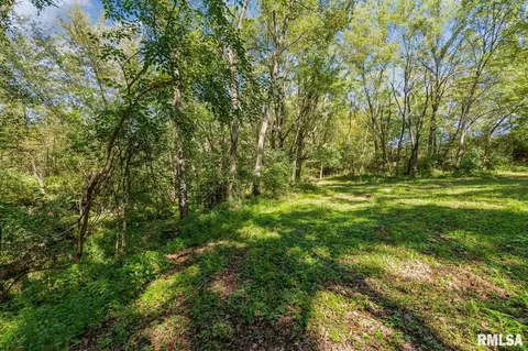 866 230th St, Viola, IL 61486 photo 15