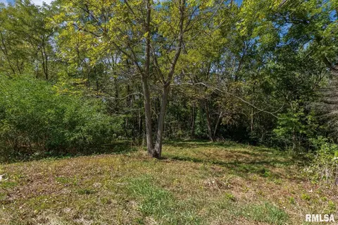 866 230th St, Viola, IL 61486 photo 3