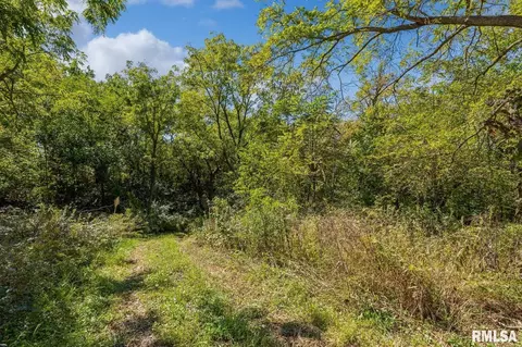 866 230th St, Viola, IL 61486 photo 10
